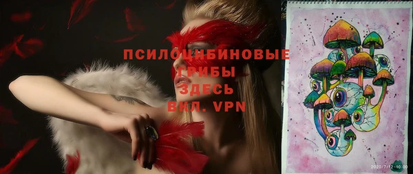 ПСИЛОЦИБИНОВЫЕ ГРИБЫ Балабаново