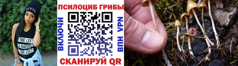 Галлюциногенные грибы Cubensis  цена наркотик  Липки 